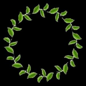 Meet your Posher, Sophia